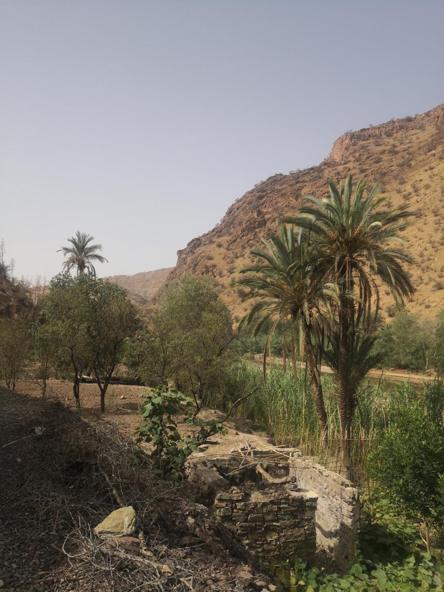 Auberge Kasbah Amoun Taliouine Dış mekan fotoğraf
